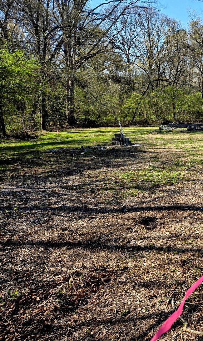 1105 N Chattanooga St, La Fayette, GA 30728 - photo 3