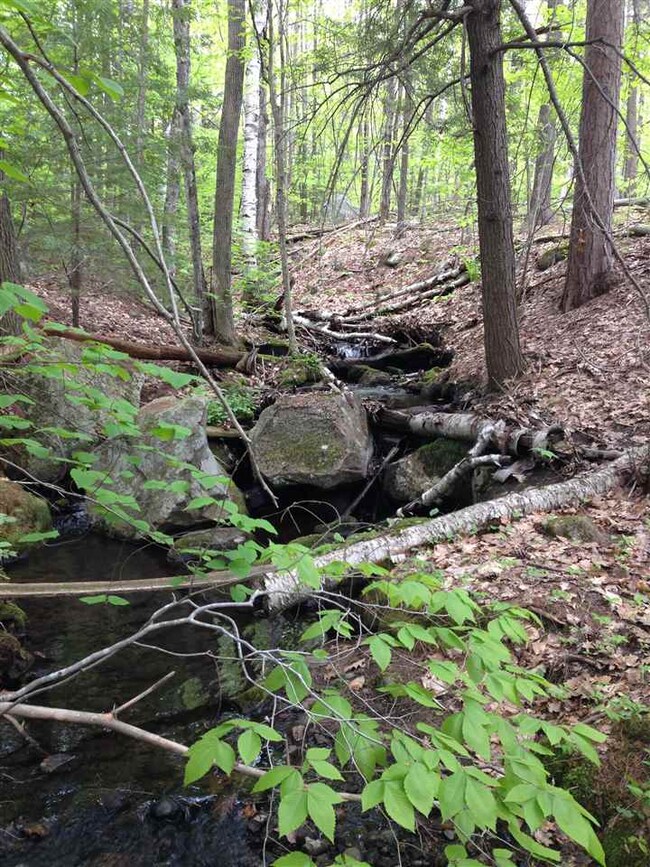 Lot 32 Copplecrown, New Durham, NH 03855 - photo 6