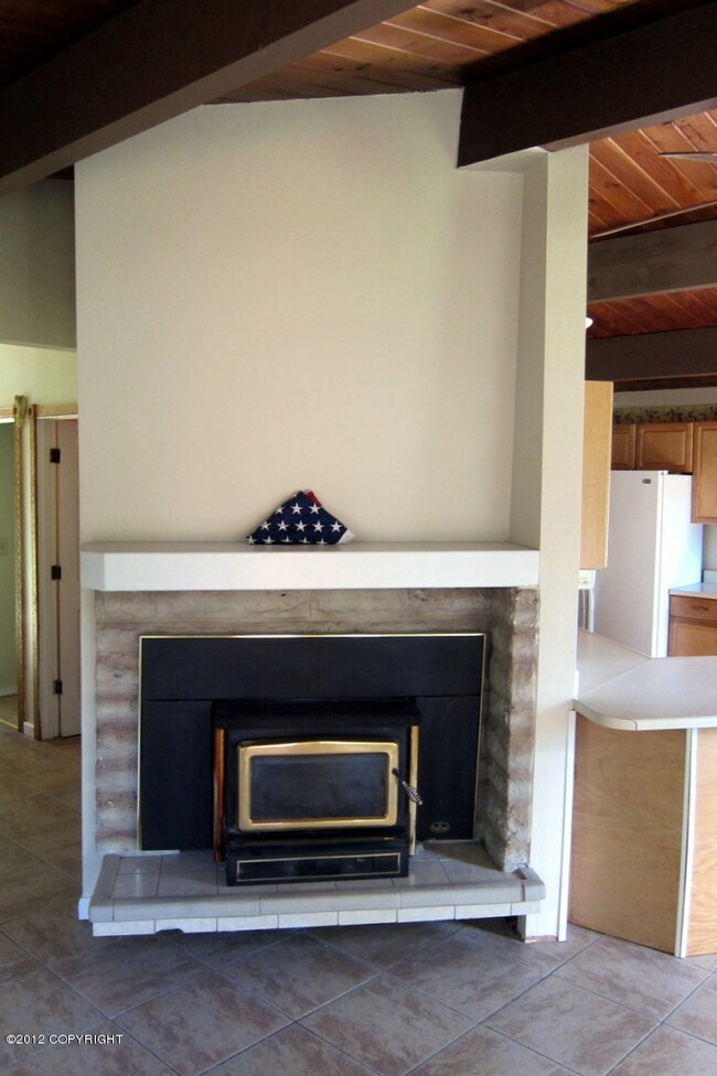 Efficient Wood Stove