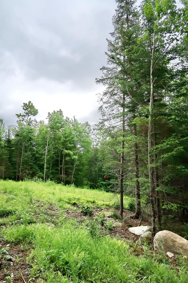 0 Beech Hill Rd unit 4916539, Bethlehem, NH 03574 - photo 4