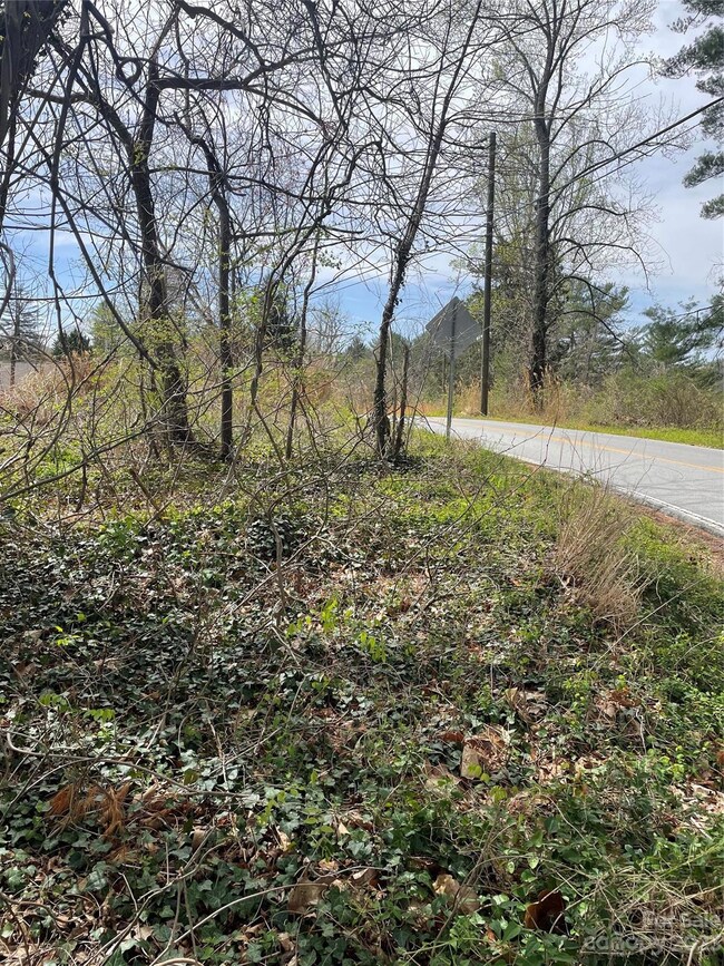 99999 W Chapel Rd, Asheville, NC 28803 - photo 3