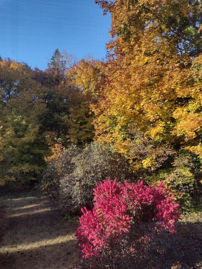 1106 Chase Rd, Veazie, ME 04401 - photo 6