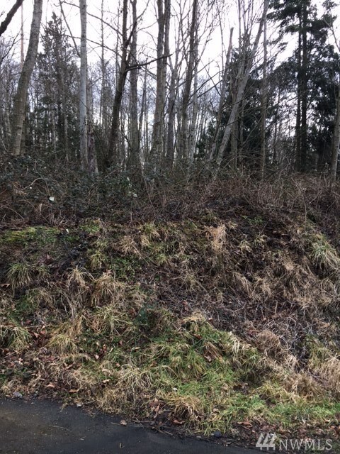 27505 Woodland Rd, Stanwood, WA 98292 - photo 5