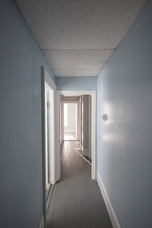 10 Sycamore St unit 2, Worcester, MA 01608 - photo 2