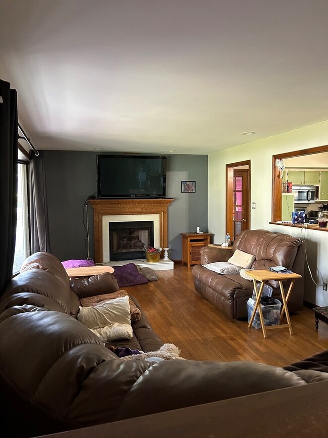 4335 Kildare Ct, Matteson, IL 60443 - photo 6