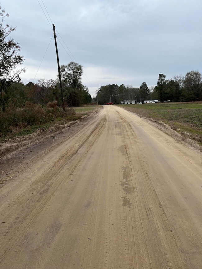 00 Ryn St, Cope, SC 29038 - photo 2
