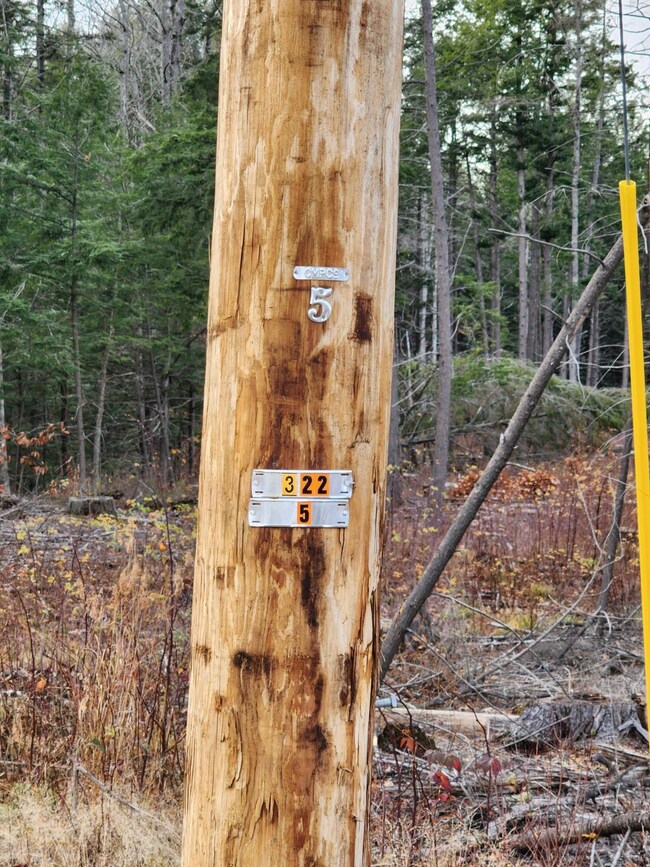 2 Utility pole marks the lot
