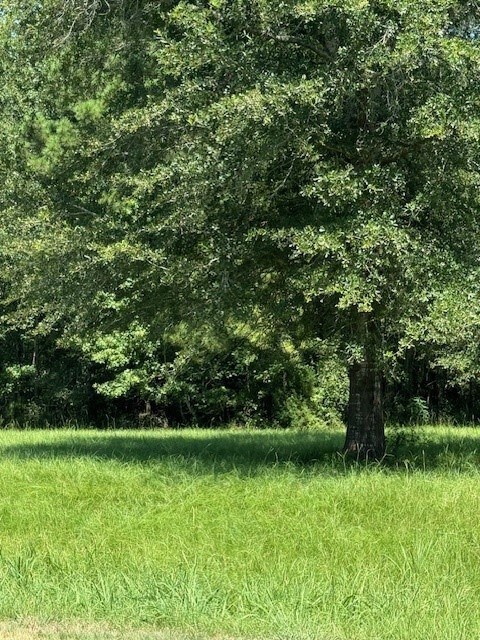 12 Firewood Rd, Huntsville, TX 77340 - photo 3