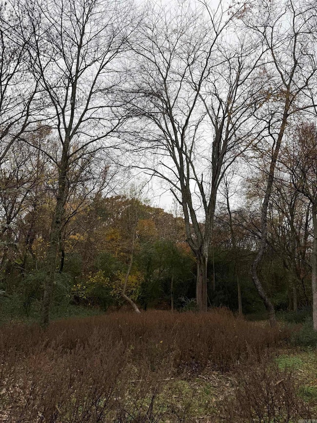 10 Acres Woodland Park Rd, Bryant, AR 72022 - photo 4