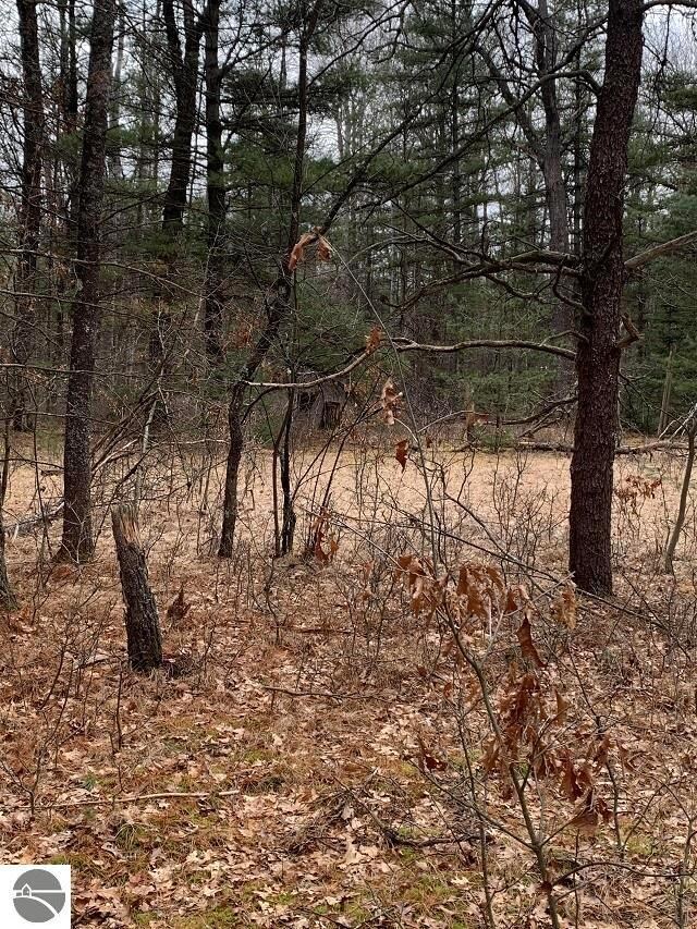 0 Morrison Rd unit 1898517, Alger, MI 48610 - photo 7