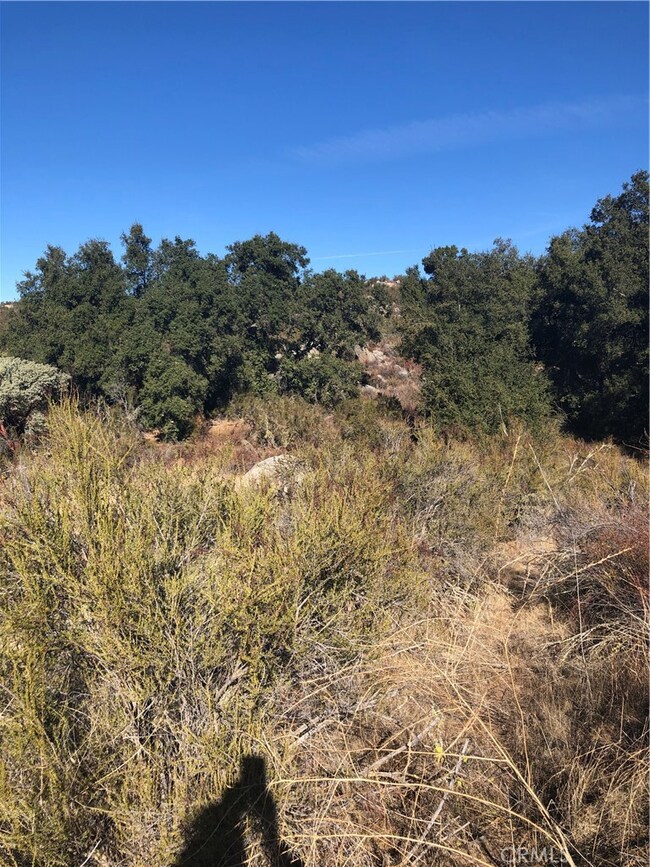 3 Red Mountain Rd, Hemet, CA 92544 - photo 3