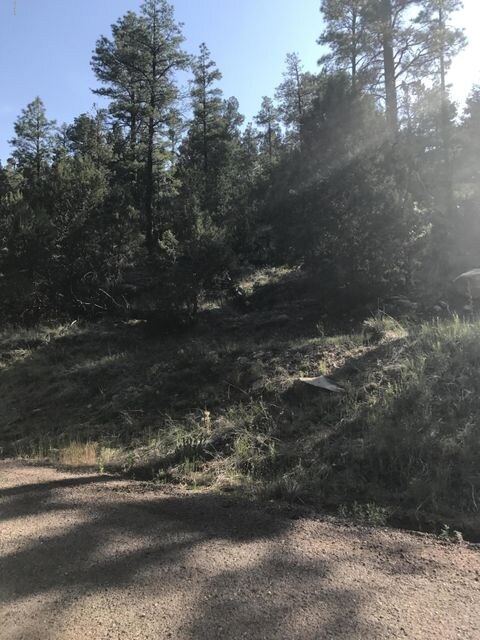 1041 N 24th Dr unit 10, Show Low, AZ 85901 - photo 2