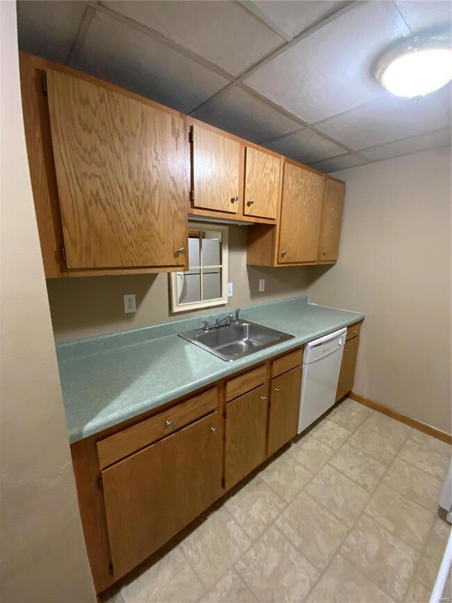 1 Sunset Dr unit 10, Freeburg, IL 62243 - photo 4