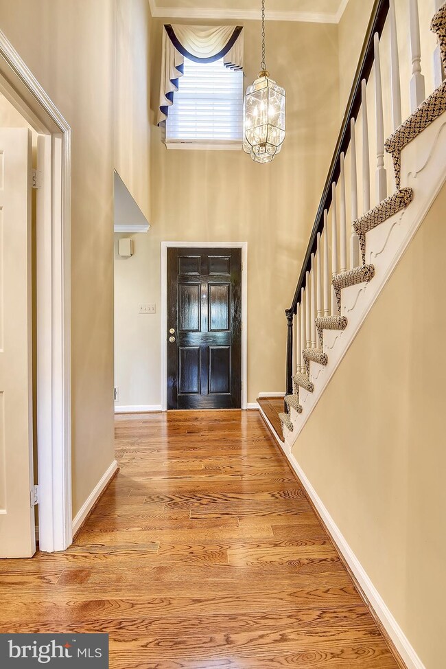 9404 Althea Ct, Potomac, MD 20854 - photo 3