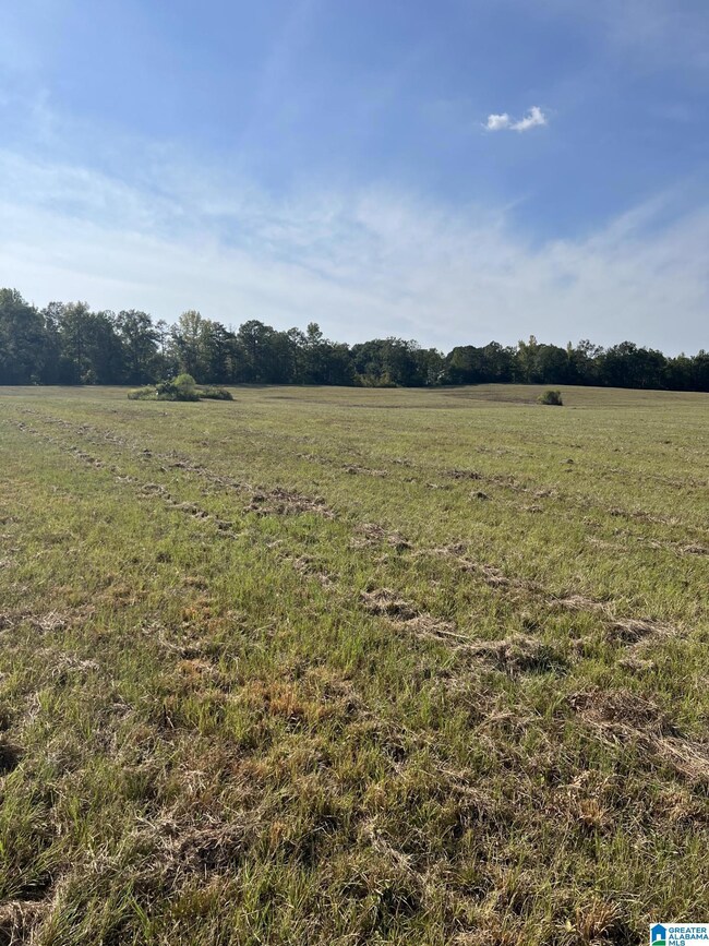 0 New Harmony Rd unit 1359959, Clanton, AL 35045 - photo 3