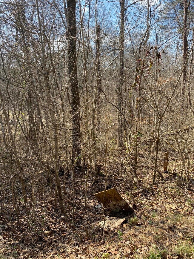 Lot 882 Stonegate Dr unit 3, Burnside, KY 42519 - photo 4