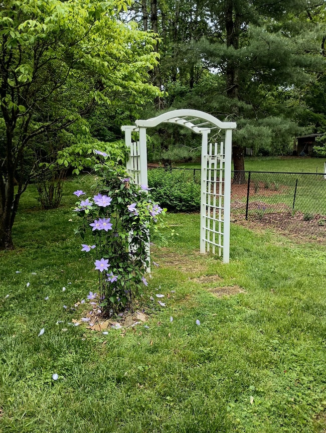 161 Kentucky Ave, Sewanee, TN 37375 - photo 2