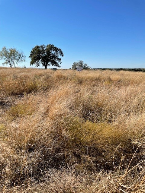 View of undeveloped land featuring rural landscape