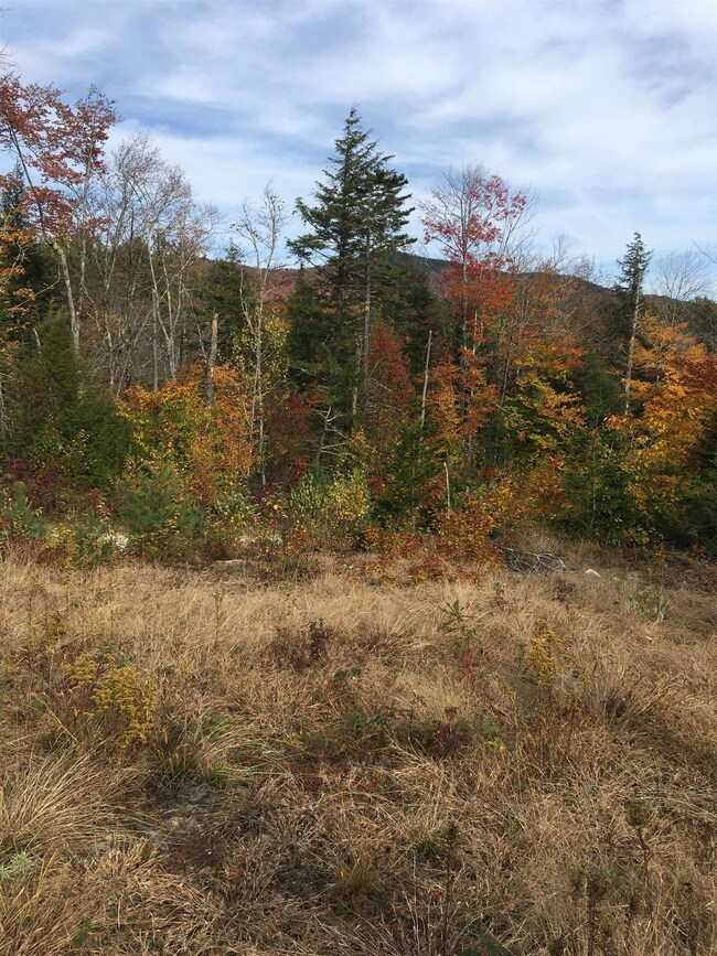 527 N Groton Rd, Groton, NH 03241 - photo 3