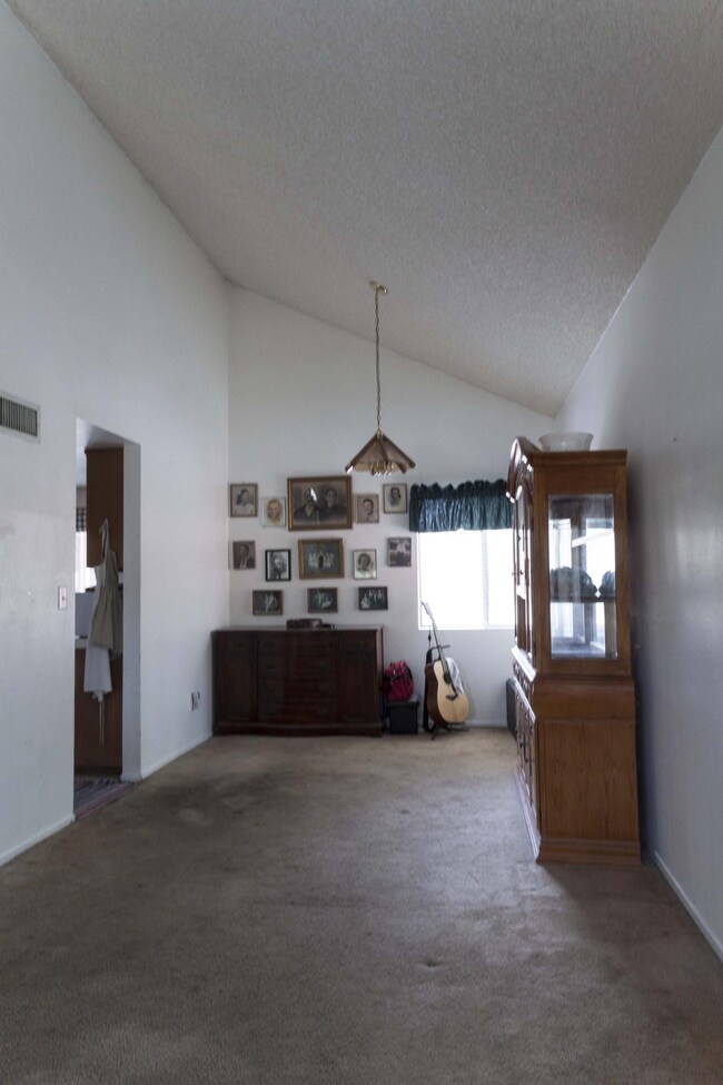 38729 Juniper Tree (3 of 34)