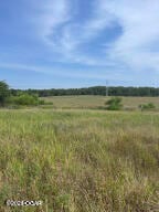 20230804141016245596000000