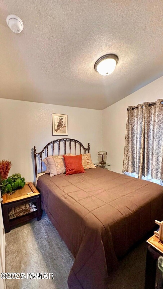 8102 White Mountain Lake Rd, Show Low, AZ 85901 - photo 6