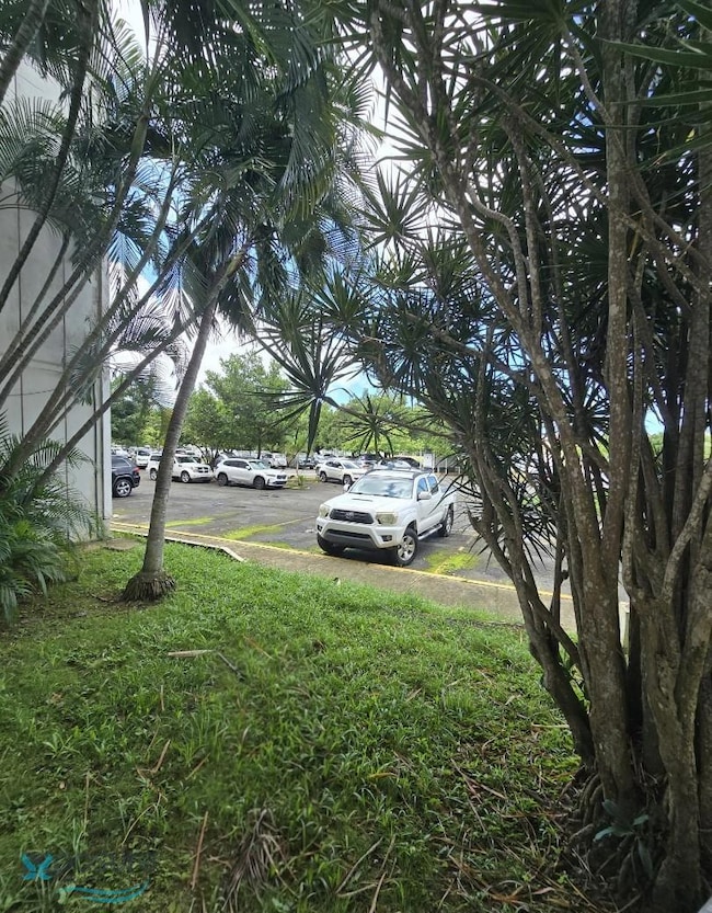 0 Cond Marie Veiw unit GFC, Carolina, PR 00979 - photo 2