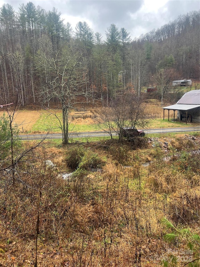 TBD Little Creek Rd, Burnsville, NC 28714 - photo 6