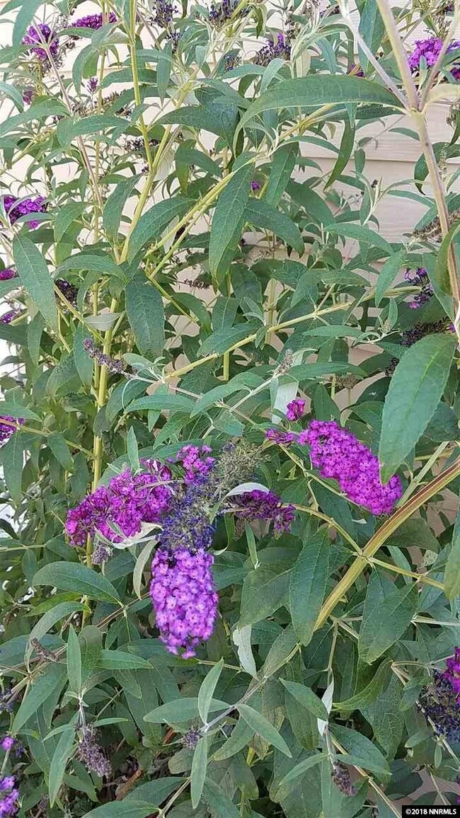 8978 Red Baron Blvd, Reno, NV 89506 - photo 4