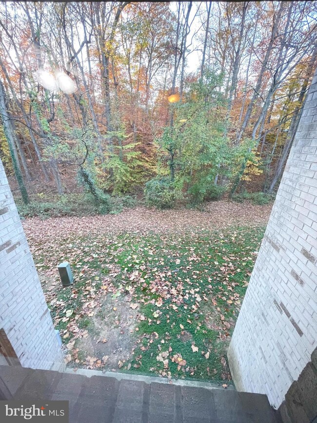 3818B Steppes Ct unit 3818B, Falls Church, VA 22041 - photo 6