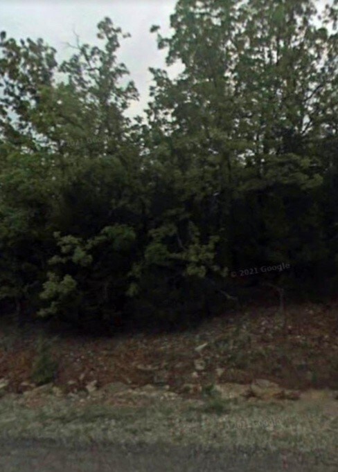 1102 Canary Ln, Horseshoe Bend, AR 72512 - photo 5