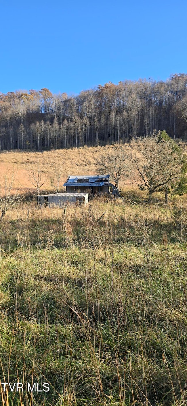 2351 Line Rd, Eidson, TN 37731 - photo 4