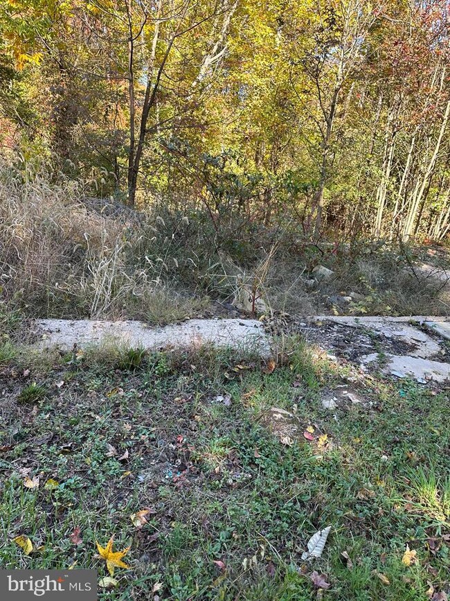 1784 Old Baltimore Pike, Newark, DE 19702 - photo 7