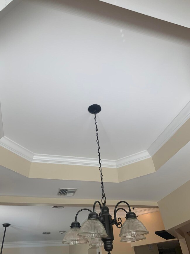 Tray ceiling in Dining area