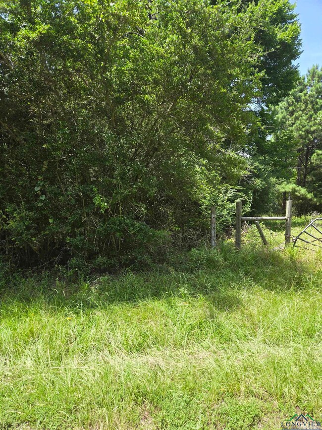 View of local wilderness