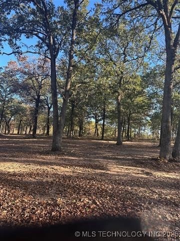 4 N3640 Rd, Colbert, OK 74733 - photo 3