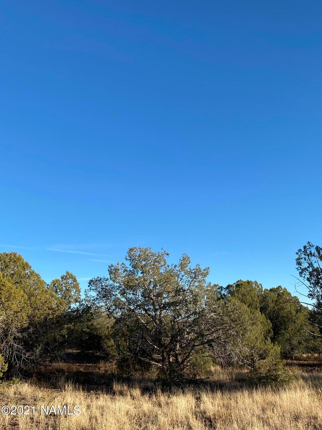 1025 Joseph Dr unit 158, Ash Fork, AZ 86320 - photo 2