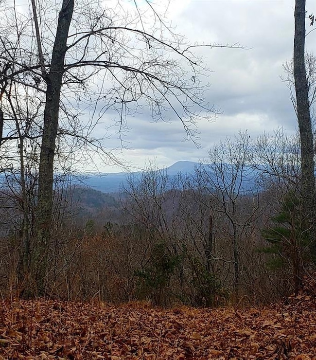 1751B Elk Trail, Talking Rock, GA 30175 - photo 2