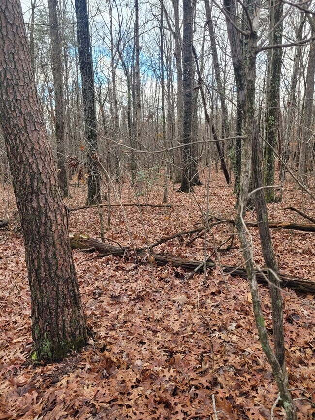 0 Hawks Bluff Rd unit RTC3051170, Spencer, TN 38585 - photo 2