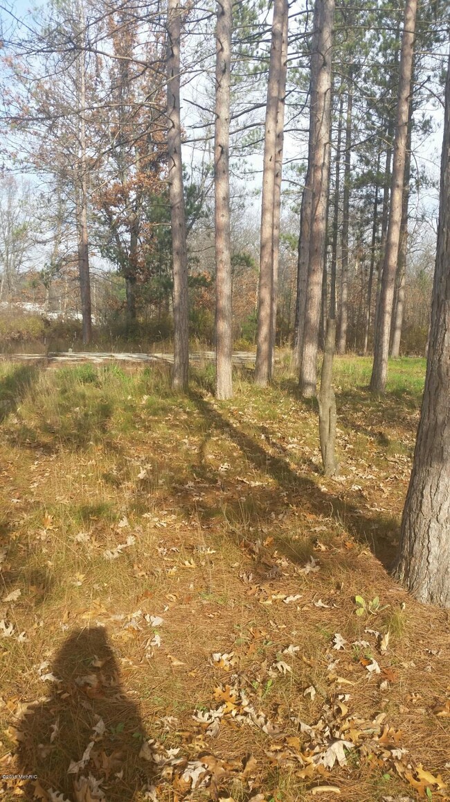 1821 W Warren Rd, Bitely, MI 49309 - photo 2