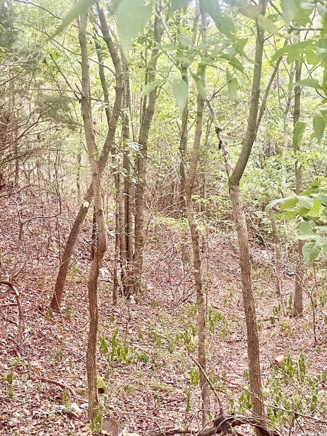 2053 Greene 624 Rd, Paragould, AR 72450 - photo 4