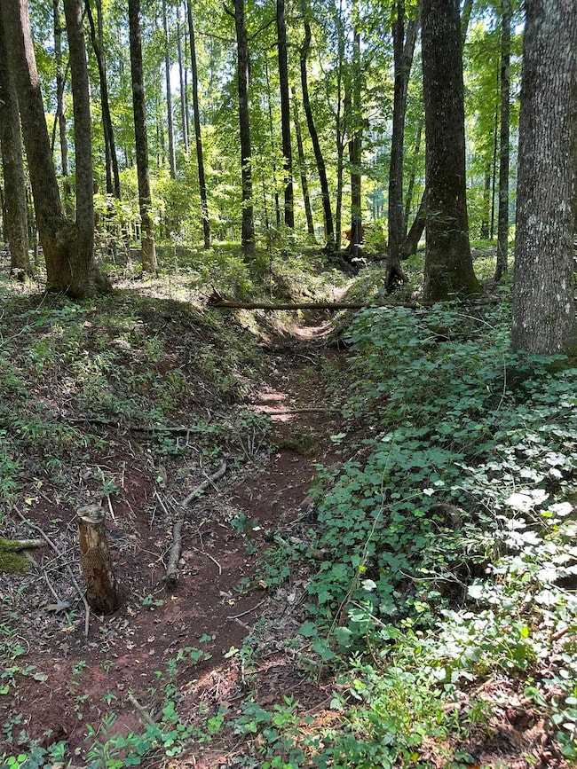 2470 Fears Rd, Madison, GA 30650 - photo 2