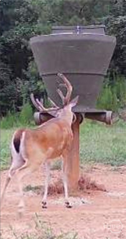 0 Georgia 72 unit CL344632, Comer, GA 30629 - photo 5