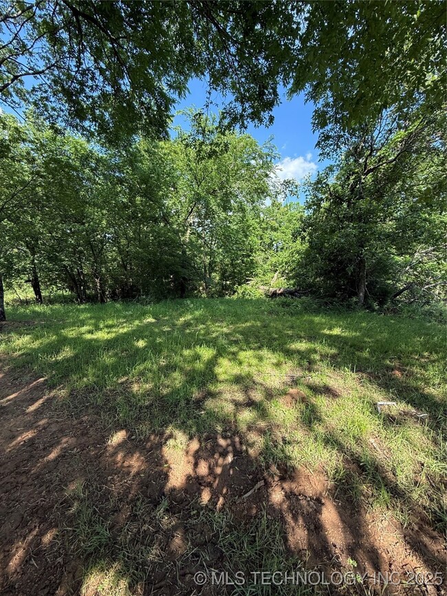 View of yard with a view of trees