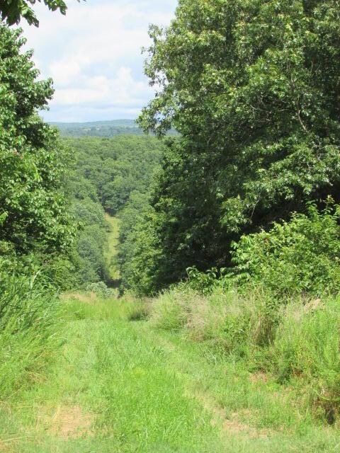 Easement road to property