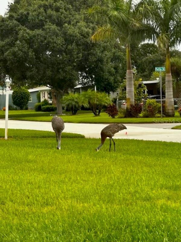 527 Egret Cir, Sebastian, FL 32976 - photo 3