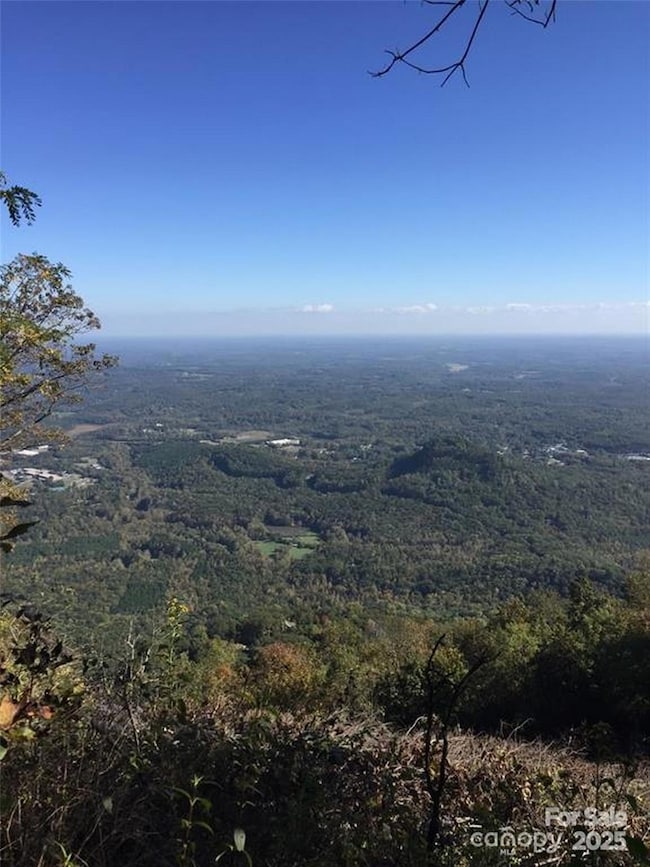 00 Morning Ride Dr unit 38, Columbus, NC 28722 - photo 3