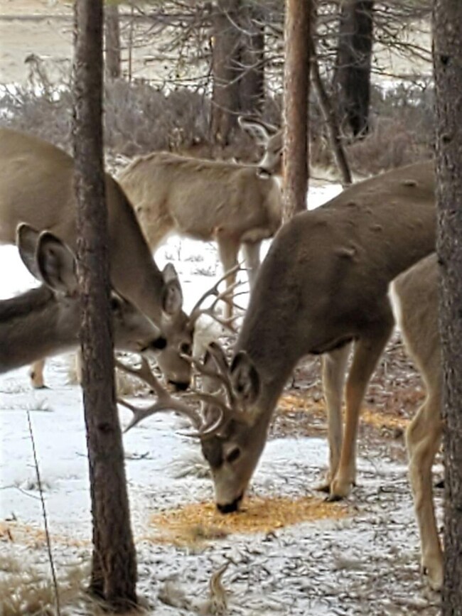 output_image1639357682063