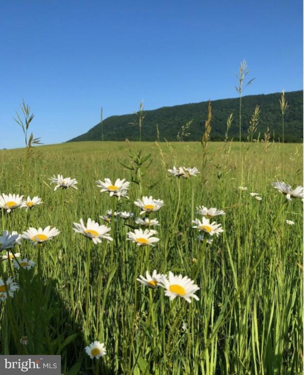 Lot 9 Sandy Hook Far Sandy Hook Rd, Strasburg, VA 22657 - photo 2