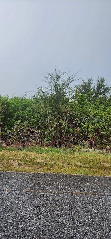 8183 Clyde Cir, South Gulf Cove, FL 33981 - photo 5